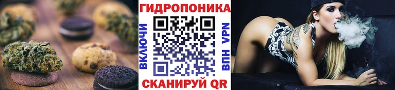 где найти   Гороховец  Cannafood марихуана 