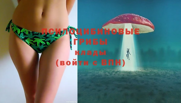 таблы Богородицк
