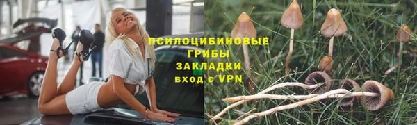 таблы Богородицк