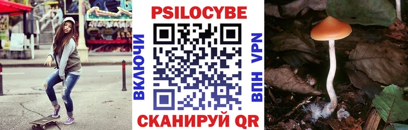 Галлюциногенные грибы GOLDEN TEACHER блэк спрут Гороховец