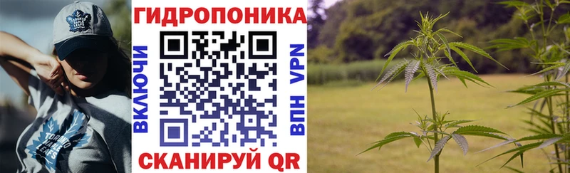 Шишки марихуана Bruce Banner  где продают наркотики  Гороховец 